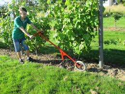 Desherbage Rapide Mecanique Des Vignes Desherbage