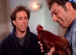 Poor egg production in a rooster