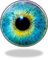 Kartinki Po Zaprosu Eyeball Png Eye Drawing Eye Texture Iris Eye