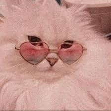 Bila tidak segera dibersihkan kotoran tersebut akan mengeras dan menjadi hitam. Arasy Dewi Arsyqueena05gmailcom Profil Pinterest