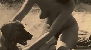 Disfrutaría una mujer teniendo sexo con un animal ..?