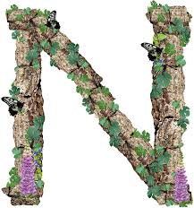 Find high quality love letter stock photos and editorial news pictures from getty images. Download Hd Alphabet Letter N Rustic Timber Bark Alphabet M Transparent Png Image Nicepng Com