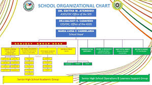 52 Unmistakable Sports Organizational Chart