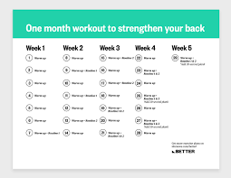 ✅ have an individualized training program crafted for you. A One Month Workout Routine To Strengthen Your Core And Relieve Back Pain