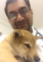 Keep in mind, banfield is a franchise, so prices for services may vary by location. Dr Roger Kuhn Marina Pet Hospital San Francisco Ca