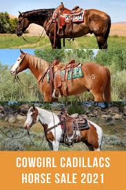 Pin On Cowgirls
