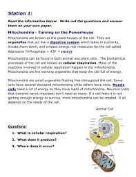 Plant cells have a cell wall, chloroplasts, plasmodesmata, and plastids used for storage, and a large central vacuole, whereas animal cells do not. Station Lab Cellular Respiration