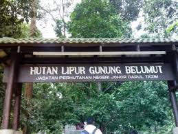 Temuduga mystep jabatan perangkaan malaysia johor. Gunung Belumut Recreational Forest Official Portal Of Kluang Municipal Council Mpk