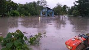 Hal itu terjadi akibat bencana banjir bandang dan angin kencang. Dampak Bencana Di Ntt Korban Meninggal Dunia Pos Kupang