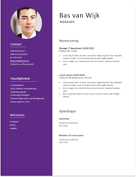 Professioneel Cv Voorbeeld Voor Een Manager Gratis Download