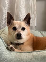 I live in Portage MI