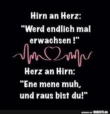 Hirn An Herz Werd Endlich Mal Erwachsen Lustige Bilder Spruche Witze Echt Lustig Aufmunternde Spruche Erwachsen Werden Spruche