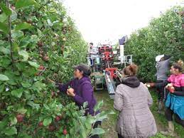 Le travail saisonnier a comme principale caractéristique d'être lié à une saisonnalité. Nouvelle Aquitaine Des Aides A L Hebergement Pour Les Saisonniers Agricoles Le Republicain Lot Et Garonne