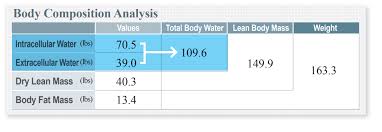 Understand The Inbody Result Sheet Inbody Usa