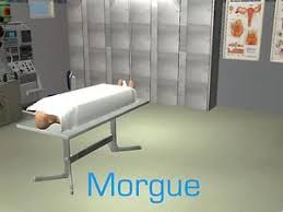 Pin On Sims