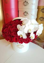 We did not find results for: Orchid Round Box In Watsonville Ca D Lily S