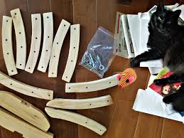 Today's roundup is exactly for cat owners because we are going to make cozy cat beds. Beauty And The Cat Barbie S Beauty Bits