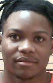 Arrest report for 7-29-20