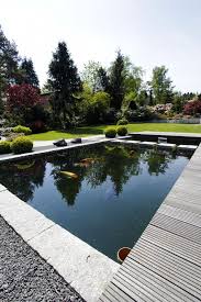 Koiteich Mit Blick Auf Rasenflache Und Geholzen Wasserspiel Garten Koiteich Garten