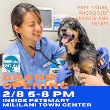 Our doctors have over 100 years of combined experience and strive to deliver compassion and exceptional care. Hi Pets Vet Clinic Home Facebook