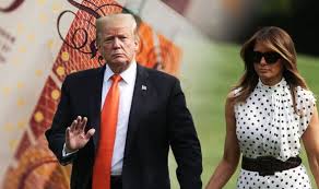 Image result for the net closes in on donald trump