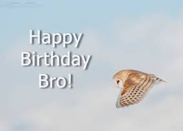 It's 100% free, and you also can use your own customized birthday calendar and birthday reminders. Happy Birthday Little Brother On The Wing Photography