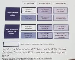 Foiu 2018 Current Experience In Immunotherapy For Metastatic Renal Cell Carcinoma