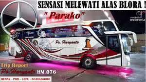 Review luragung termuda alfarruq mr. Spesialis Cium 5 Cm Artis Cipali Mr Gaplex Trip Setia Negara Alfarruq Kuningan X Deres Youtube