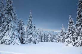 Winter Weather Forecast Outlook Prediction For 2020 2021