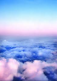 The most beautiful wallpapers for iphone and android. Aesthetic Wallpaper Animal Wallpaper Black Wallpaper Colorful Wallpaper Flower Wallpaper Iphone Wallpapers Landscape Wallpape Line Wallpaper Mobile Wallpaper Natural Scenery Simple Wallpaper Solid Color Wallpaper Wallpaper Wallpaper Backgrounds