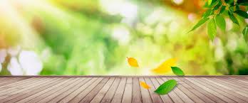 Fresh Green Timber Literature Background Free Background Photos Fresh Green Background