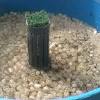 Skimmer/waterfall external pond filter system. 3