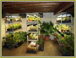 Simple Garden Ideas Thumb Not Green Try These Horticulture Ideas Simple Garden Ideas Indoor Vegetable Gardening Growing Food Indoors Indoor Vegetables