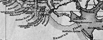 Image result for Hydrostachys bismarckii