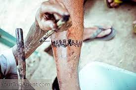 Nas academy is an online learning platform founded by nuseir yassin better known as nas daily. Treffen Sie Apo Whang Od Den Letzten Kalinga Tattoo Kunstler Auf Den Philippinen 2021