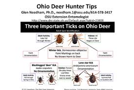 Ticks In Ohio