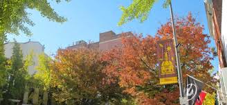 Get the latest breaking news, sports, entertainment and obituaries in athens, ga from online athens. Fall Bucket List In Athens Ga