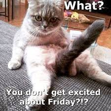 23 Dirty Memes Friday Factory Memes