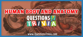 Oct 25, 2021 · for a round of trivia that takes you from useless animal facts, to seriously, useless state laws, check out this list of useless random trivia questions … Human Body And Anatomy Trivia Questions And Quizzes