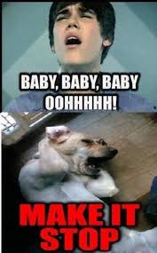 Pin By Talented Dancer On Random Funny Justin Beiber Memes Justin Bieber Funny Song Memes