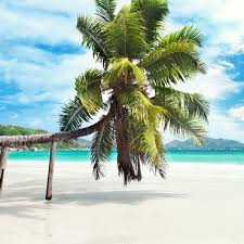 sɛʃɛl or seʃɛl), officially the republic of seychelles (french: Viaggi E Tour Seychelles Tour Alle Seychelles Viaggi Alle Seychelles