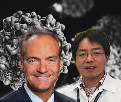 Our findings demonstrate that AAVs could provide a valuable tool for  developing systemic gene therapies against certain diseases where CNS  delivery is required.”