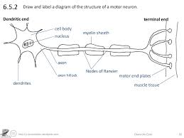 Http Sciencevideos Wordpress Com Draw The Core 626 5 2 And do tell me on. http sciencevideos wordpress com draw