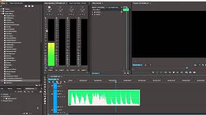 Neat Video Pro 5 0 2 Full Version For Premiere Pro Remove Echo In Premiere Pro Tutorial Premiere Pro Tutorials Premiere Pro Adobe Premiere Pro