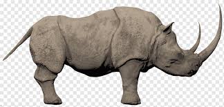 Conan Exiles Rhinoceros African Elephant Conan The Barbarian Rhino Mammal Animals Fauna Png Pngwing