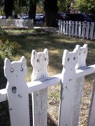 Cat Fence Seltsame Katzen Verruckte Katzenlady Ideen