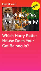 Which Harry Potter House Does Your Cat Belong In Harry Potter Houses Potters House Harry Potter House Quiz
