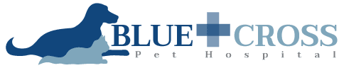 The quality of life of your pet is our number one priority. Contact Blue Cross Pet Hospital In North Hollywood Ca