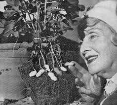 The Atomic Gardener — Ernest journal