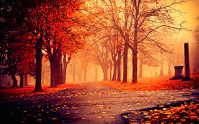 Autumn Nature Wallpapers Hd Pictures One Hd Wallpaper Pictures Just Girly Things Nature Wallpaper Fall Wallpaper